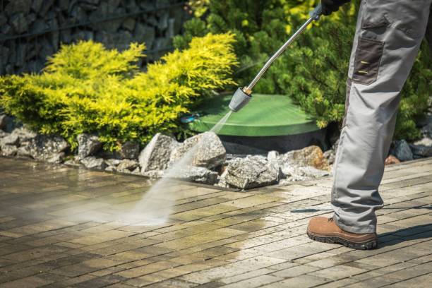 Best Patio and Deck Pressure Washing  in Forest Meadows, CA